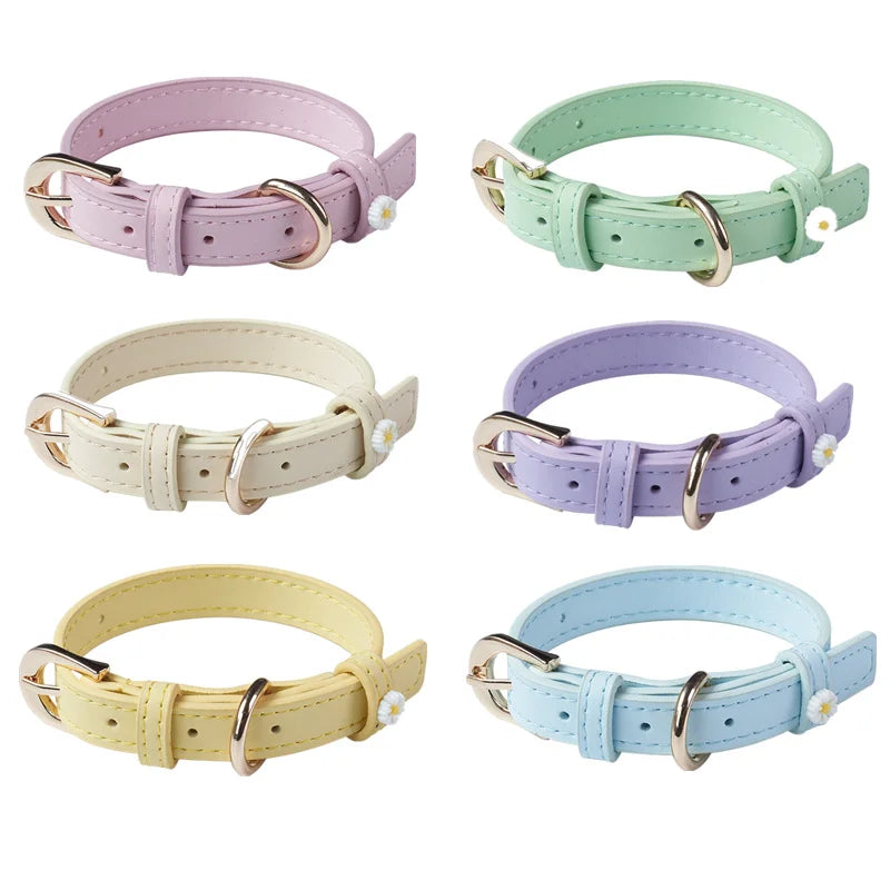 Lether pet collar - Pets Place