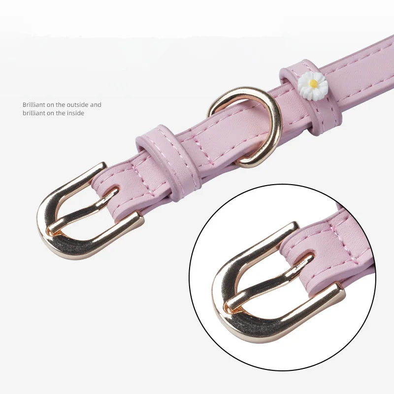 Lether pet collar - Pets Place