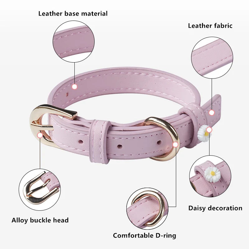 Lether pet collar - Pets Place