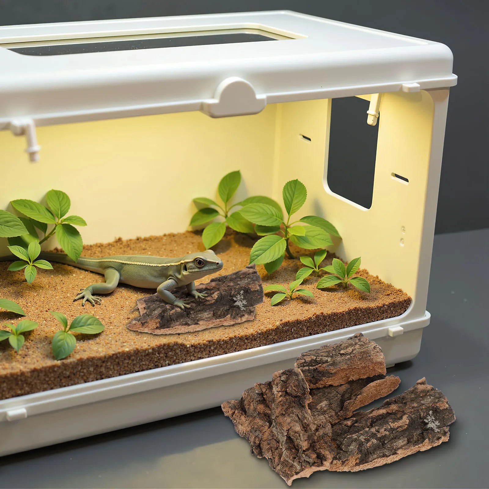 Natural cork reptile basking platform - Pets Place