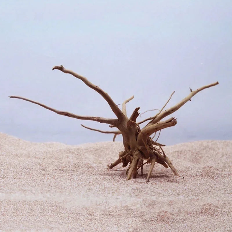 Tree trunk for aquarium-terrarium - Pets Place